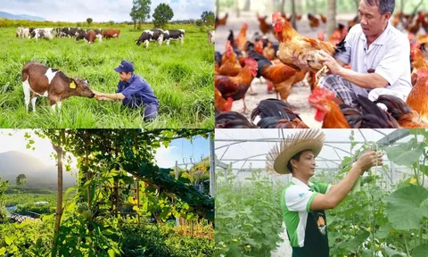 Sản xuất nông, lâm nghiệp và thủy sản trong tháng đầu năm