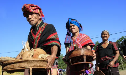 Hội mừng lúa mới A Da Koonh trên dãy Trường Sơn