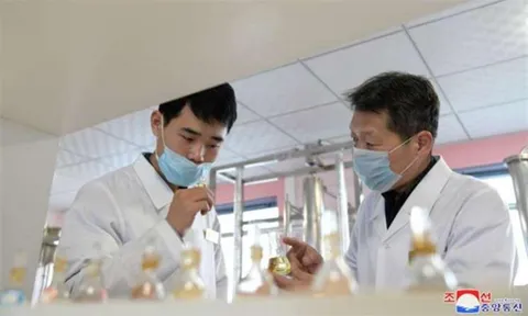 Triều Tiên tích cực phát triển ngành hương liệu để sản xuất xà phòng