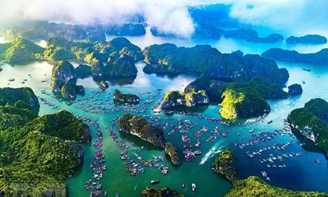 Phát triển kinh tế biển xanh góp phần bảo tồn hệ sinh thái biển