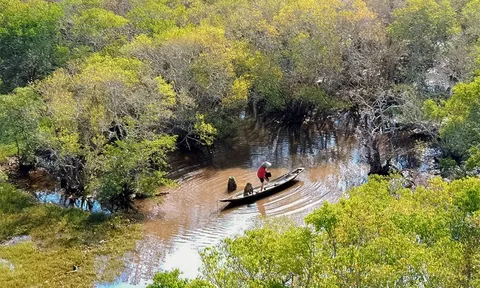 Chung tay bảo vệ, phục hồi, bảo tồn và sử dụng bền vững các vùng đất ngập nước