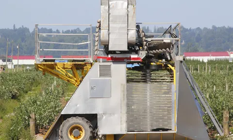 Cơ giới hóa sản xuất trái cây, nâng chất lượng nông sản xuất khẩu