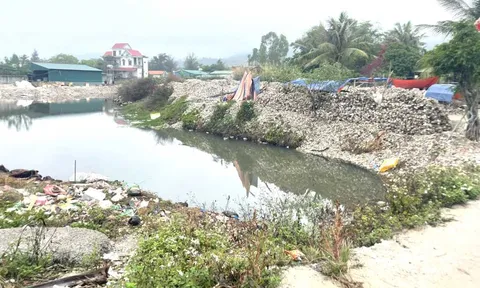 Khẩn trương di chuyển các cơ sở chế biến hàu ra khỏi khu dân cư