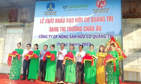 Lô gạo hữu cơ Quảng Trị đầu tiên xuất khẩu sang châu Âu