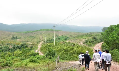 Khảo sát dự án tuyến đường kết nối từ Tỉnh lộ 16 với đường tránh phía Tây TP. Huế