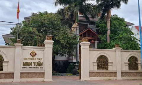 Công ty Minh Tuấn trúng 100% các gói thầu giao thông nông thôn và phục vụ nhu cầu sản xuất nông nghiệp