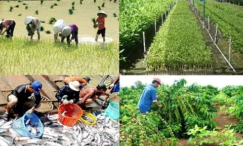 Tháng 2/2023: Ngành nông nghiệp có nhiều điểm sáng