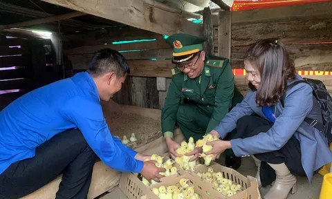 Trao tặng hơn 1.500 con giống cho người nghèo