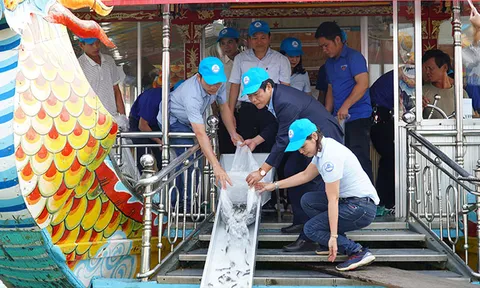 Thả hơn 207.000 con cá xuống sông Hương để tái tạo nguồn lợi thủy sản, bảo vệ hệ sinh thái