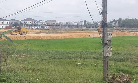 Đất ruộng được thu hồi để thực hiện dự án tái định cư ở Chọ Nen bây giờ ra sao?
