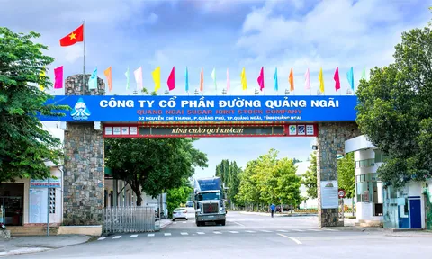 Công ty Đường Quảng Ngãi bị thanh tra toàn diện về thuế và chuyên ngành đóng bảo hiểm