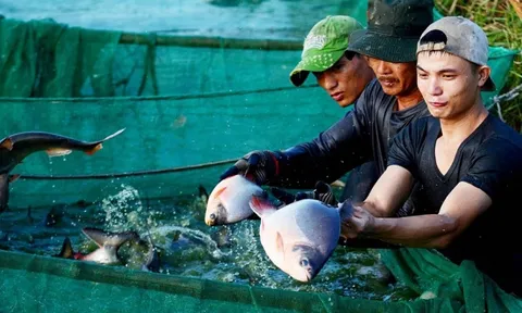 Hỗ trợ nông dân phát triển kinh tế vươn lên làm giàu