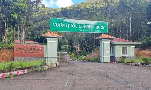 Điểm danh loạt dự án ven biển có vốn đầu tư công tại tỉnh Kiên Giang đang bị thanh tra