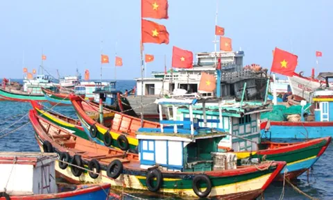 Hội Nghề cá Việt Nam phản đối Trung Quốc cấm đánh bắt cá ở Biển Đông