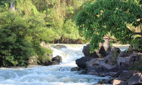 Đắk Lắk: Tăng cường công tác bảo tồn đa dạng sinh học