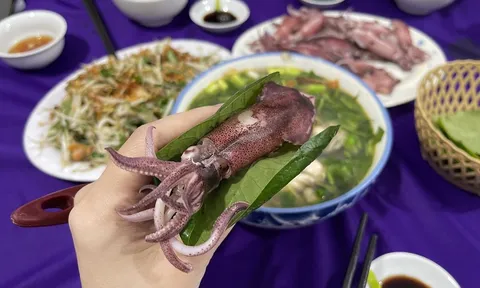 Về Hà Tĩnh thưởng thức món mực nhảy Vũng Áng nức tiếng xa gần