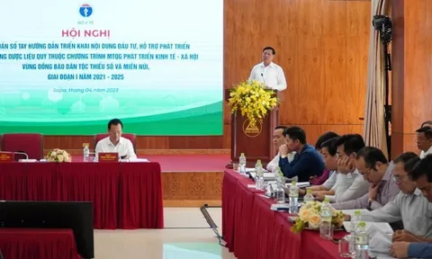 Tích cực đầu tư, hỗ trợ phát triển vùng trồng dược liệu quý