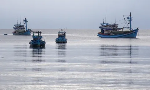 Đầu năm 2023 đến nay, Bến Tre không có tàu cá vi phạm vùng biển nước ngoài