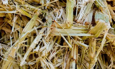Nghiên cứu sản xuất và ứng dụng một số vật liệu mới từ phế phụ phẩm mía đường và lúa để nâng cao giá trị gia tăng và phục vụ nông nghiệp bền vững