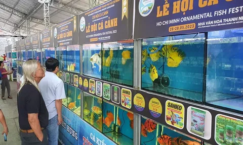 TP.HCM: Lễ hội cá cảnh là cơ hội để đẩy mạnh xúc tiến thương mại cho nghề