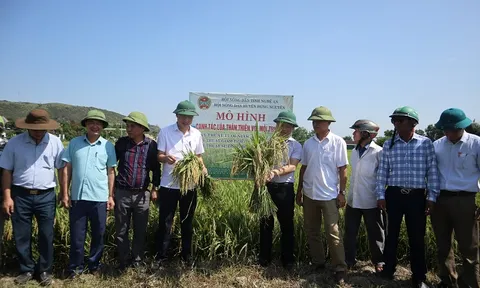 Huyện Hưng Nguyên (Nghệ An): Nâng cao hiệu quả canh tác lúa thân thiện với môi trường