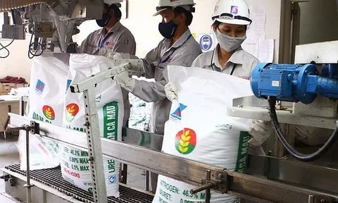 Nghiên cứu hoàn thiện công nghệ sản xuất chế phẩm đa chức năng ứng dụng trong sản xuất phân bón urê có bổ sung trung, vi lượng