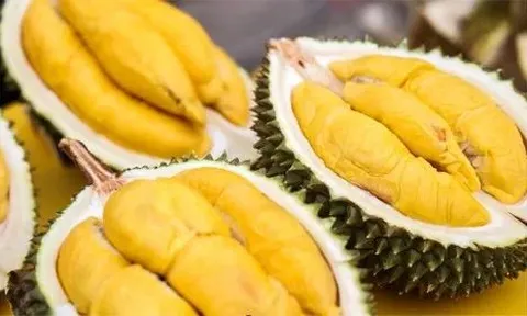 Xuất hàng chậm, khiến thị trường sầu riêng Malaysia bị động