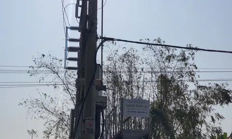 Có hay không việc doanh nghiệp Lý Hải xây dựng trái phép trên đất nông nghiệp tại xã Sơn Hải (huyện Quỳnh Lưu, tỉnh Nghệ An)?
