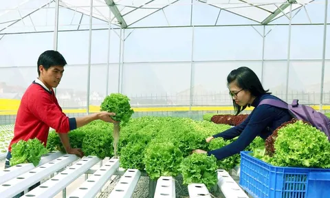 Ngành nông nghiệp với nhiệm vụ nâng cao hiệu quả hội nhập kinh tế quốc tế, thúc đẩy kinh tế phát triển nhanh và bền vững giai đoạn 2023 - 2030