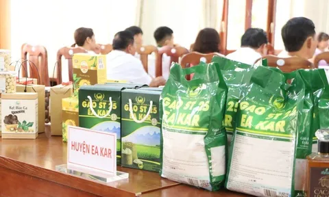 Đắk Lắk: 25 sản phẩm đạt chứng nhận OCOP cấp tỉnh