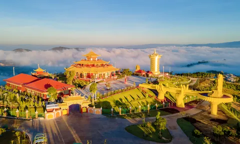Công ty Kim Phát phải sử dụng rừng đúng mục đích tại dự án Samten Hills Đà Lạt