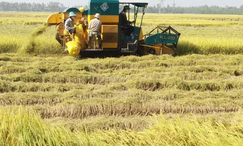 An Giang: Nâng cao năng lực sản xuất nông nghiệp và tiêu thụ sản phẩm