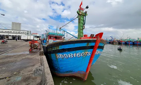 Bình Định: Ngăn chặn, chấm dứt tình trạng tàu cá, ngư dân vi phạm khai thác hải sản trái phép ở vùng biển nước ngoài và không để tái diễn ở các năm tiếp theo