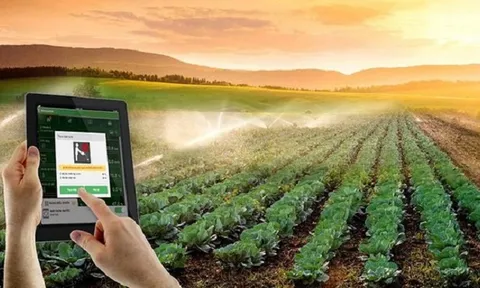 Đẩy mạnh chuyển đổi số trong khu vực kinh tế hợp tác, hợp tác xã