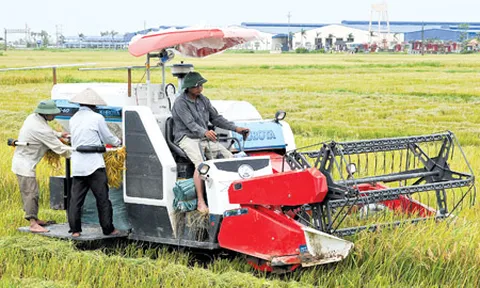 Quảng Bình: Chiến lược phát triển khoa học, công nghệ và đổi mới sáng tạo ngành Nông nghiệp đến năm 2030, tầm nhìn đến năm 2050