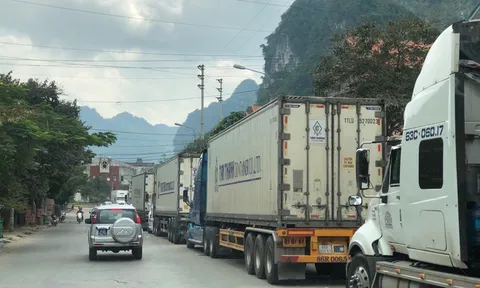 Triển khai các biện pháp cấp bách giảm ùn ứ và thúc đẩy xuất khẩu nông sản tại cửa khẩu biên giới phía Bắc