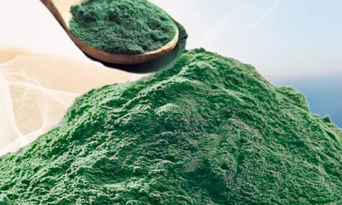 Nghiên cứu hoàn thiện công nghệ nuôi tảo Spirulina nước lợ và sản xuất một số sản phẩm thực phẩm chức năng từ sinh khối tảo này tại Thanh Hóa