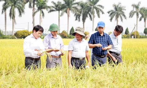 Sản xuất sạch và xanh vì sức khỏe cộng đồng