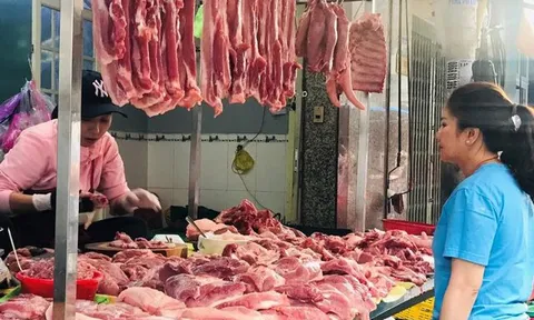 Tăng cường công tác quản lý kiểm dịch vận chuyển, kiểm soát giết mổ động vật, bảo đảm vệ sinh thú y trên địa bàn tỉnh Quảng Bình