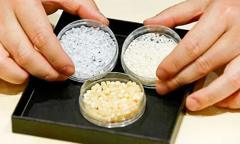 Nhựa sinh học làm từ hạt gạo