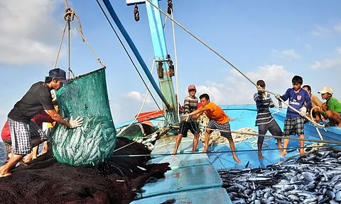 Chuyển đổi một số nghề khai thác hải sản ảnh hưởng đến nguồn lợi và môi trường sinh thái