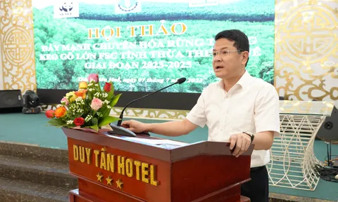 Thừa Thiên Huế đẩy mạnh chuyển hóa rừng trồng keo gỗ lớn FSC