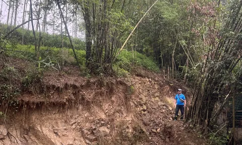 Vụ xử lý khắc phục sạt lở tại Tiên Yên – Quảng Ninh: Chính quyền địa phương lúng túng?