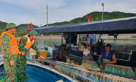 Quảng Ninh: Tạm ngừng cấp phép cho phương tiện thủy ra khơi từ 15 giờ ngày 17/7