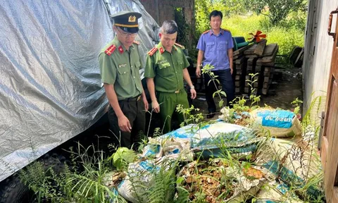 Bắt 2 đối tượng khai thác tài nguyên trái phép ở huyện miền núi Thừa Thiên Huế