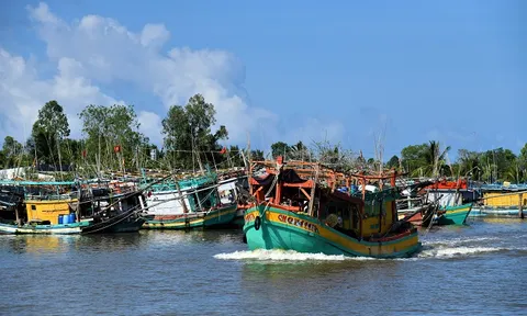 Xây dựng Cà Mau thành trung tâm kinh tế biển, năng lượng tái tạo của vùng Đồng bằng sông Cửu Long và của cả nước