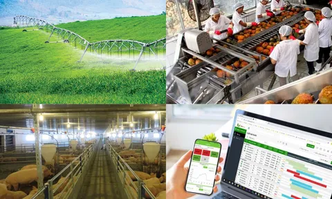 Ưu tiên phát triển hợp tác xã nông nghiệp gắn với phát triển kinh tế xanh, kinh tế tuần hoàn, kinh tế tri thức