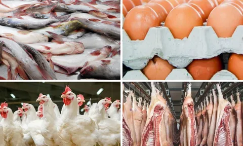 Tăng cường năng lực quản lý, kiểm soát dịch bệnh động vật và bảo đảm an toàn thực phẩm có nguồn gốc động vật