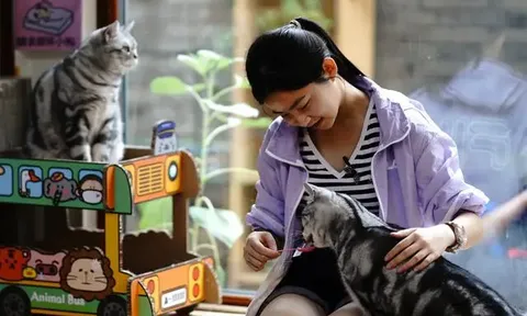 Nền "kinh tế thú cưng” phát triển mạnh tại Trung Quốc