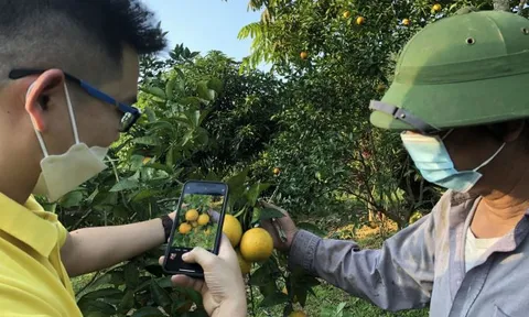 Rộng đường đưa nông sản Yên Bái lên sàn thương mại điện tử